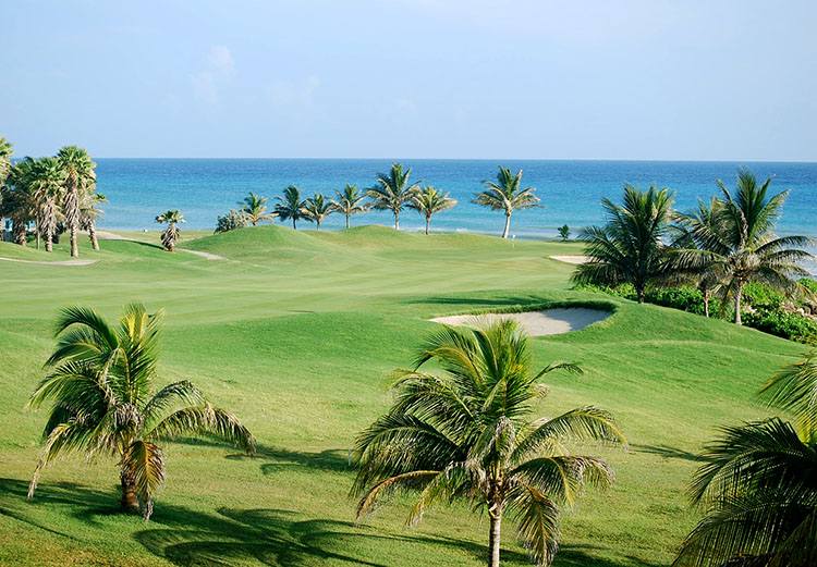 Jamajka golf pole do golfa palmy zieleń morze
