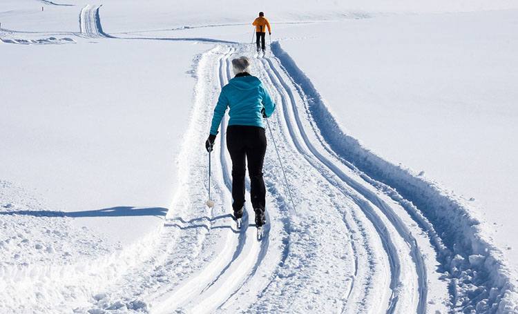 biegi narciarskie sporty zimowe sport ciekawostki zima dyscypliny sportowe