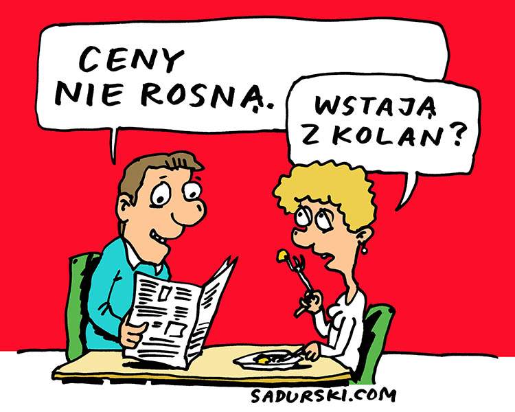 komentarze rysunkowe satyra rysunek satyryczny polityka politycy ceny PiS