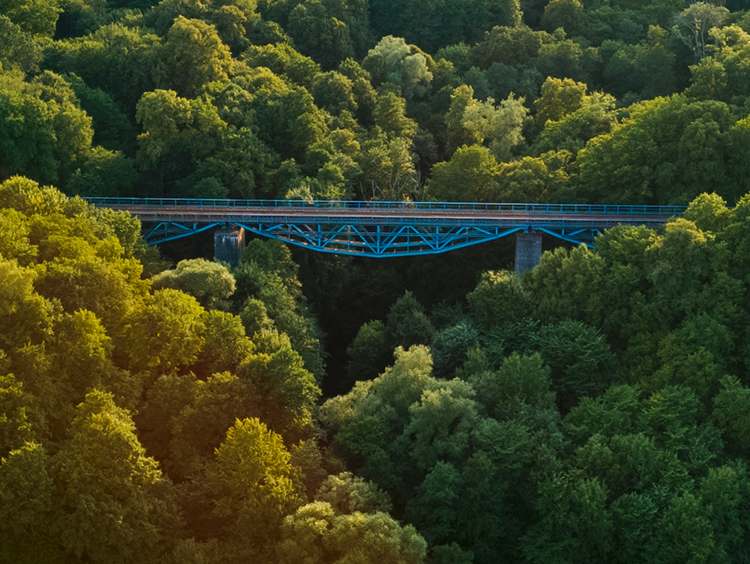 las most kolejowy koło Pieniężna 