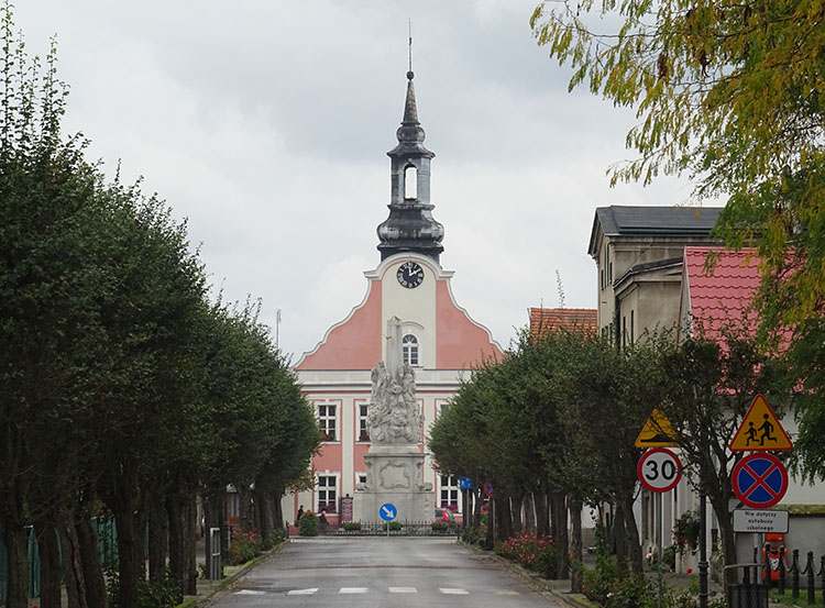 ratusz w Rydzynie rynek aleja drzewa ul. Zamkowa