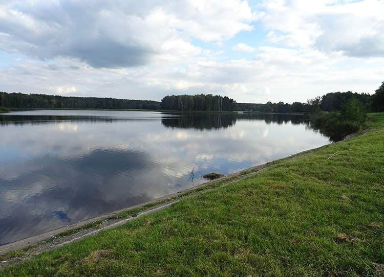 Zalew Kamionka Suchedniów atrakcje