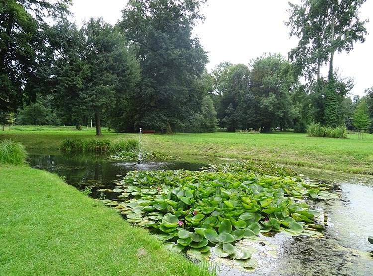 park Strzelce Opolskie atrakcje co zobaczyć