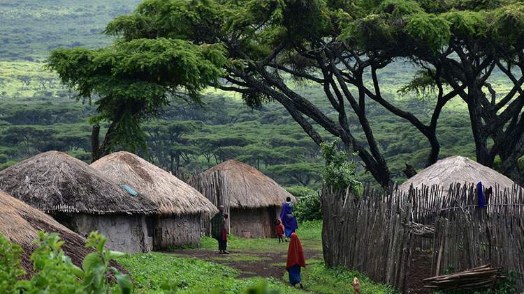 Masajowie wioska Masajów Tanzania ciekawostki atrakcje