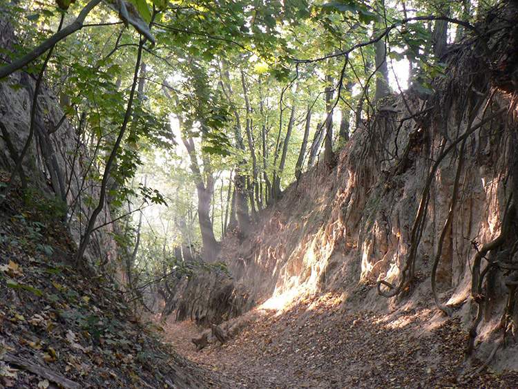 Sandomierz atrakcje wąwóz królowej Jadwigi