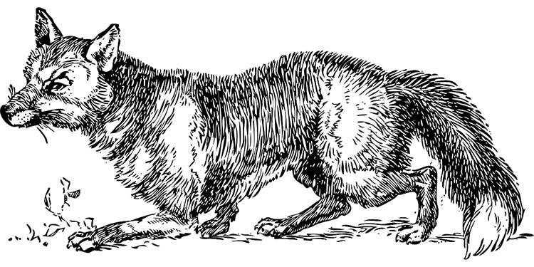 myśliwy dowcipy o myśliwych humor myśliwski kawały