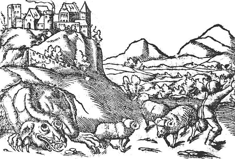 legenda smok wawelski ciekawostki Kraków 1550