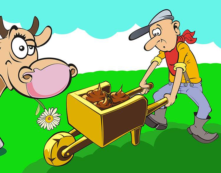 humor sołtys Wąchocka dowcipy o sołtysie żarty kawały