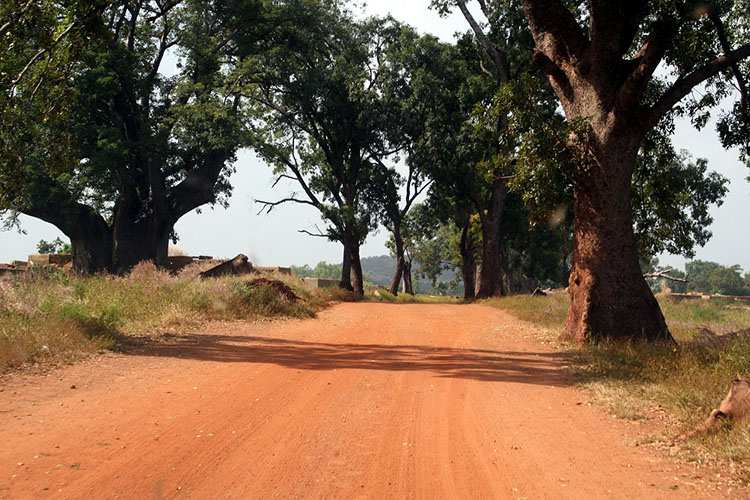 przyroda Burkina Faso ciekawostki atrakcje turystyczne 