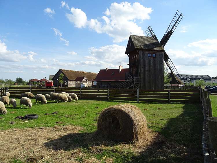 wiatrak-koźlak skansen Uniejów atrakcje zabytki ciekawostki