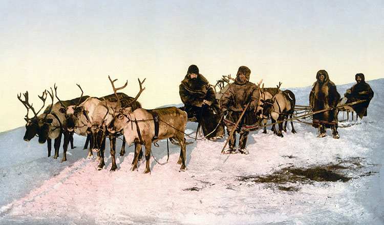 Eskimosi renifery sanki ciekawostki o sankach