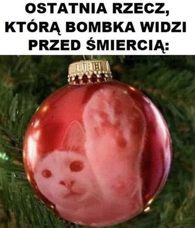 świąteczne memy dowcipy o bombkach choinkowych bombki choinkowe Boże Narodzenie