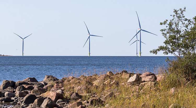 wiatr morskie firmy wiatraki energia
