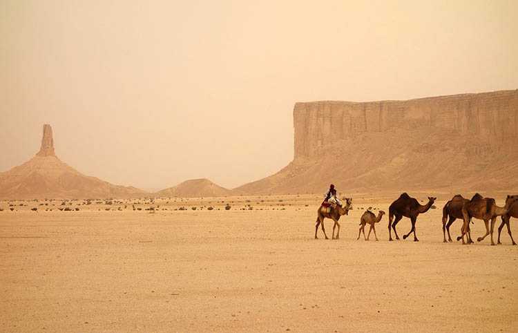 pustynia Mekka Arabia Saudyjska ciekawostki atrakcje