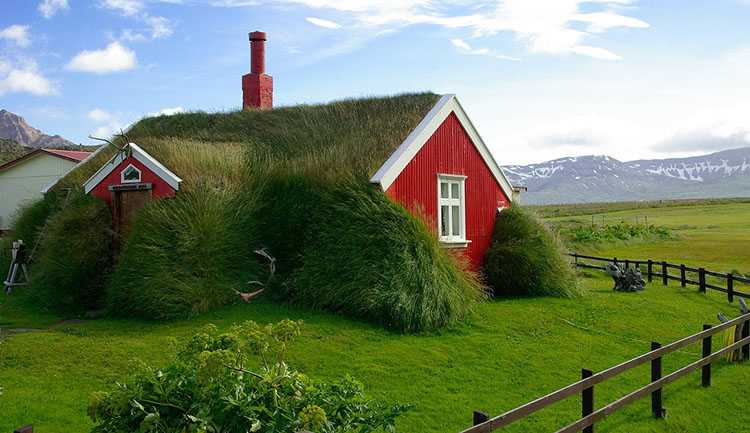 dach ekologiczny dom Islandia trawa