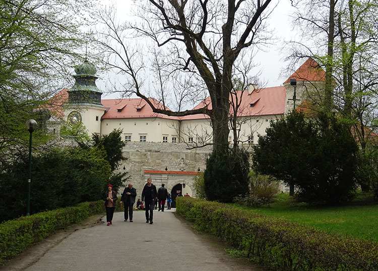 drzewa wieś Sułoszowa park krajobrazowy obok zamku