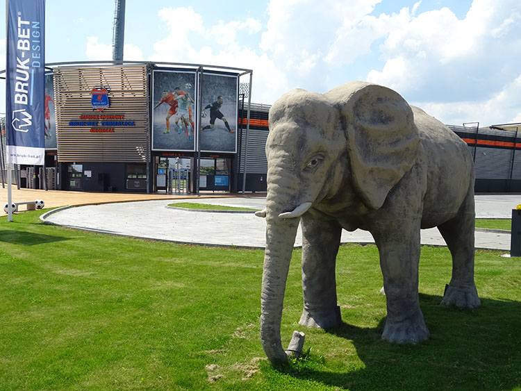 Nieciecza Termalica ciekawostki Bruk-Bet stadion klub piłka nożna