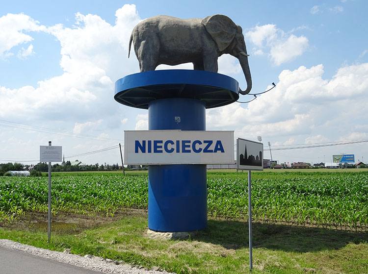 Nieciecza Termalica ciekawostki Bruk-Bet stadion klub piłka nożna