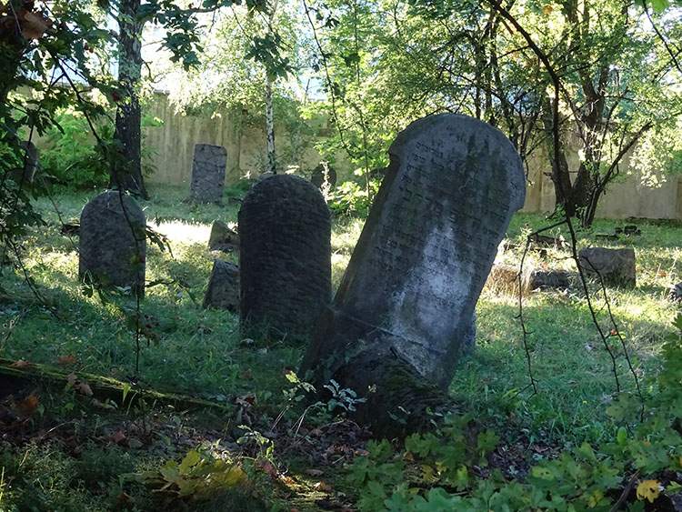 kirkut cmentarz żydowski w ciekawostki o Grodzisku Mazowieckim