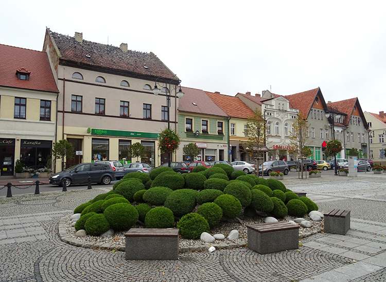 kamienice rynek Pleszew ciekawostki