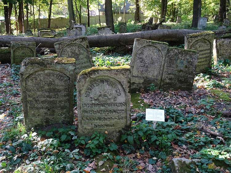 kirkut Szczebrzeszyn ciekawostki-zabytki cmentarz żydowski