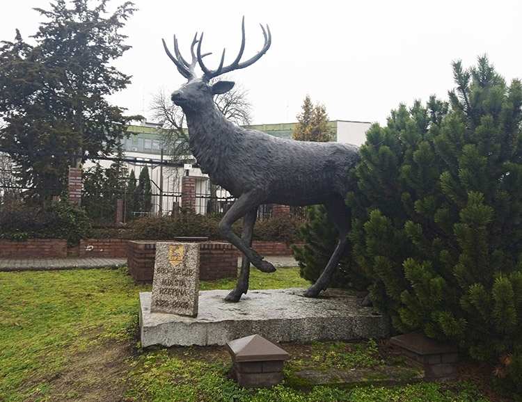 pomnik jelenia KAS herb Rzepina woj. lubuskie